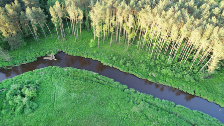 Aerial view from drone- river in the forestの写真素材