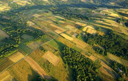 Drone aerial view - fields on the morning