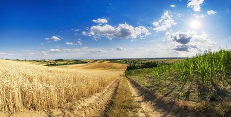 Panorama of beautiful cloudy sky over summer fieldsの写真素材