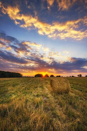 Beautiful summer sunrise over fields with hay balesの写真素材