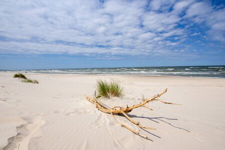 Beautiful summer landscape of sea coast and dunesの写真素材