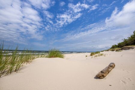 Beautiful summer landscape of sea coast and dunesの写真素材