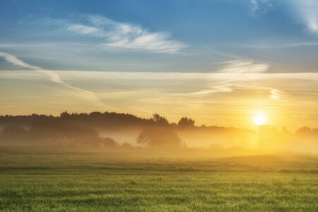 Beautiful summer sunrise over fieldsの写真素材