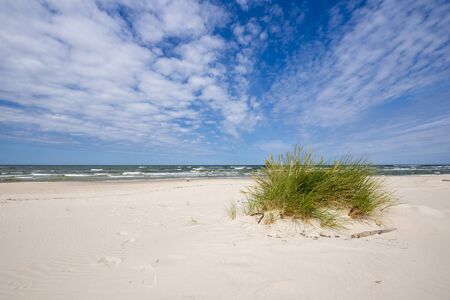Beautiful summer landscape of sea coastの写真素材