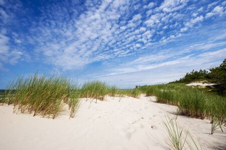 Beautiful summer landscape of sea coast and dunesの写真素材