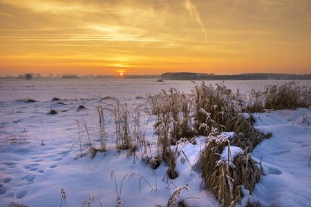 Beautiful winter sunrise over fields covered with snowの写真素材