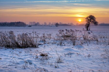 Beautiful winter sunrise over fields covered with snowの写真素材