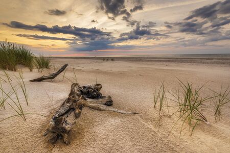 Beautiful summer landscape of sea coastの写真素材