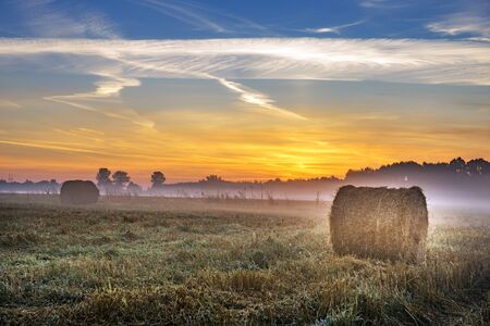 Beautiful summer sunrise over fields with hay balesの写真素材