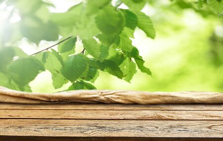 Spring green background wooden tableの写真素材