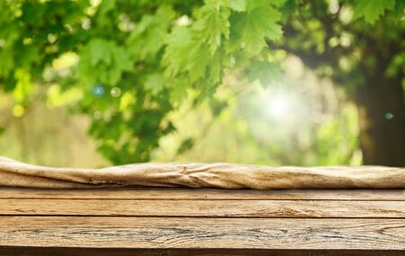 Spring green background wooden tableの写真素材
