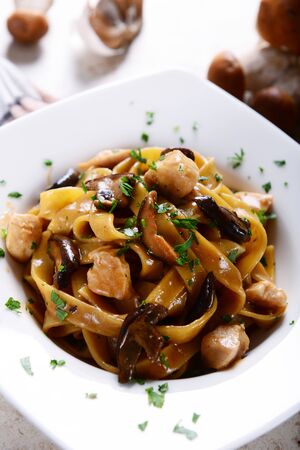 Tagiatelle pasta with creamy sauce with porcini mushroomsの写真素材