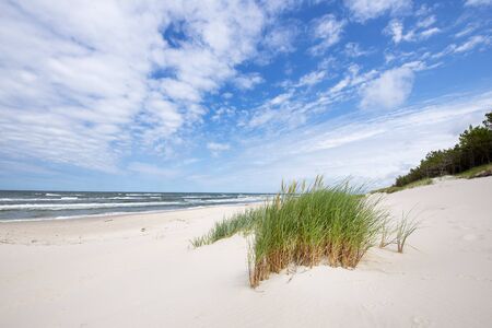 Beautiful summer landscape of sea coastの写真素材