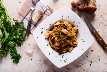 Tagiatelle pasta with creamy sauce with porcini mushroomsの写真素材