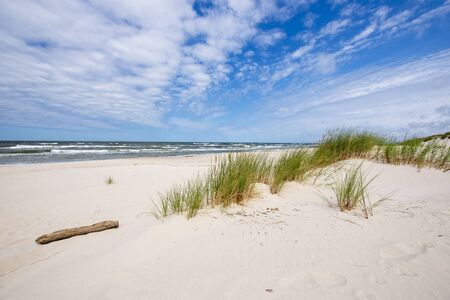 Beautiful summer landscape of sea coastの写真素材