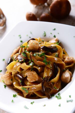 Tagiatelle pasta with creamy sauce with porcini mushroomsの写真素材