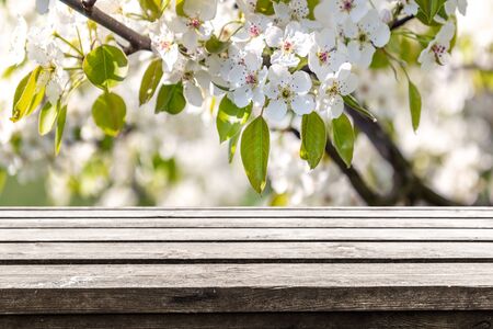 Empty old wooden table backgroundの写真素材
