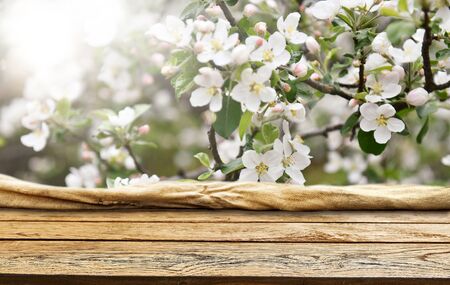 Empty old wooden table backgroundの写真素材