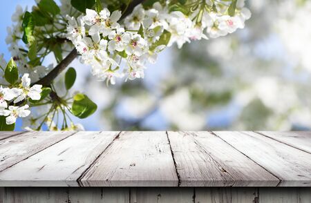 Empty old wooden table backgroundの写真素材