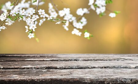 Empty old wooden table backgroundの写真素材