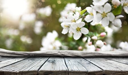 Empty old wooden table backgroundの写真素材