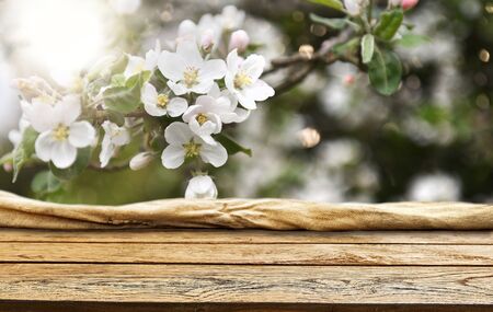 Empty old wooden table backgroundの写真素材