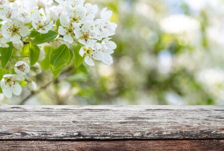 Empty old wooden table backgroundの写真素材