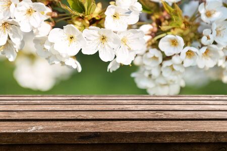 Empty old wooden table backgroundの写真素材