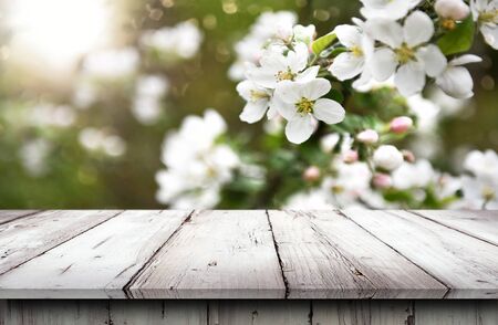 Empty old wooden table backgroundの写真素材