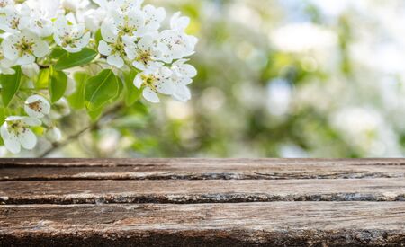Empty old wooden table backgroundの写真素材