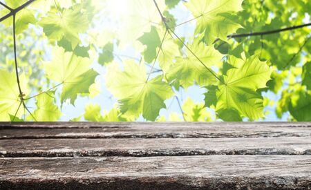 Empty old wooden table backgroundの写真素材