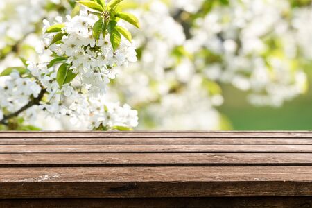 Empty old wooden table backgroundの写真素材