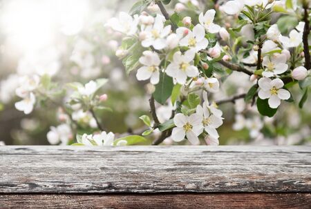 Empty old wooden table backgroundの写真素材