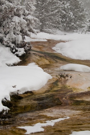 Colorful hot and steamy geyser in winterの写真素材