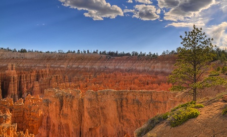 Hoodoos at Sunset - viewed from Amphitheater Point in Bryce Canyonの写真素材