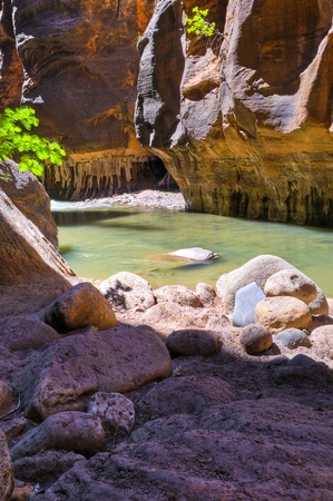 River Narrows Trail in Zion National Parkの写真素材