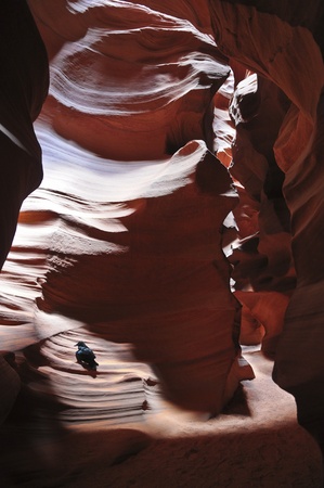 Crow Bird sitting on the wall of Antelope Canyon in Page Arizonaの写真素材