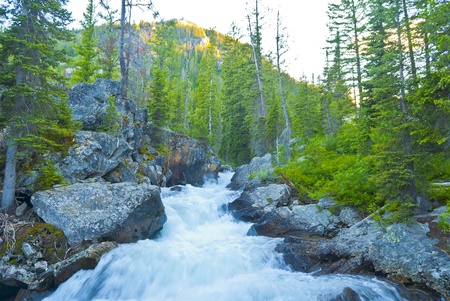 Waterfall on Cascade Creek in Grand Teton National 