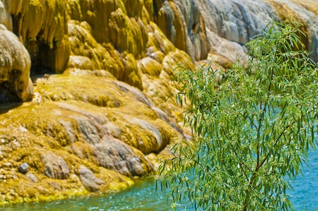 World's Largest Mineral Hot Springs in Thermopolis Wyoming