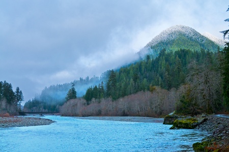 Quinault River and mountanis against cold dramatic skyの写真素材