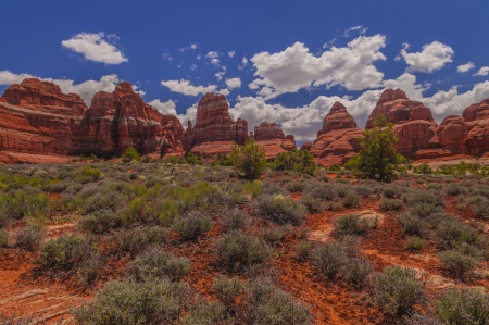 View of the Needles from the elephant hill trailの写真素材