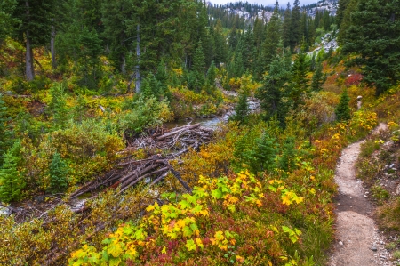 String Lake Trail leading to Paintbrush Canyonの写真素材