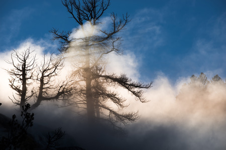 Beautiful Winter Geyser at Sunset - Yellowstone National Park の写真素材