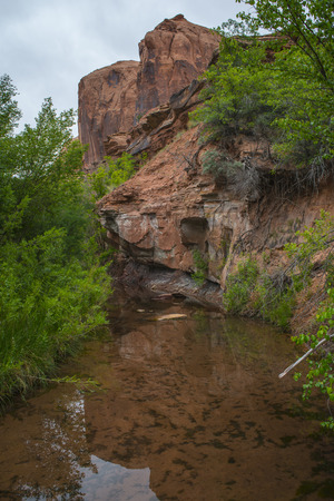 Creek along the Negro Bill Canyon trail leading towards morning glory bridgeの写真素材