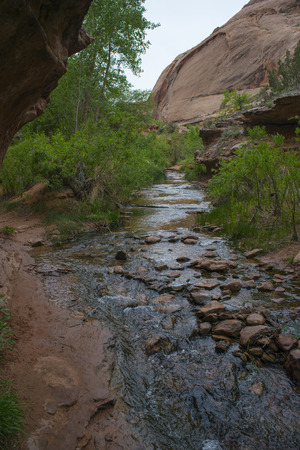 Creek along the Negro Bill Canyon trail leading towards morning glory bridgeの写真素材