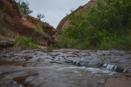 Creek along the Negro Bill Canyon trail leading towards morning glory bridgeの写真素材