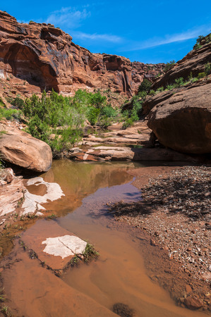 Spring in the Hunter Canyon trail near Moab Utahの写真素材