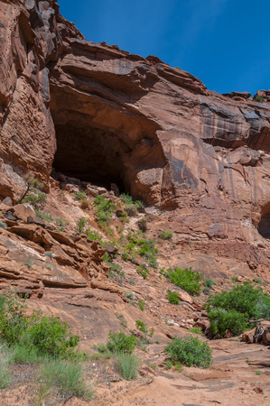 Spring in the Hunter Canyon trail near Moab Utahの写真素材