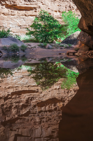 Spring in the Hunter Canyon trail near Moab Utahの写真素材
