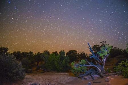 Desert Landscape at night with beautiful starry skyの写真素材